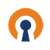 OpenVPN